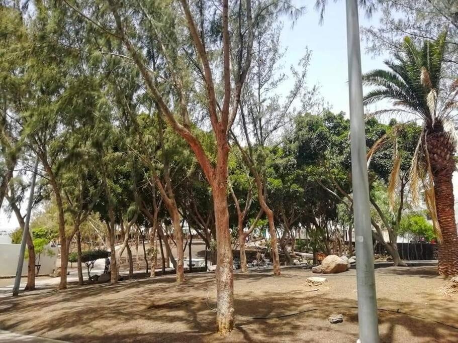 Apartamento Jable Arrecife  Exterior foto